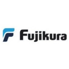 Fujikura Automotive M&eacutexico